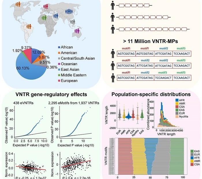 Genomweite Untersuchung von VNTR-Motiv-Polymorphismen in 8.222 Genomen Kredit