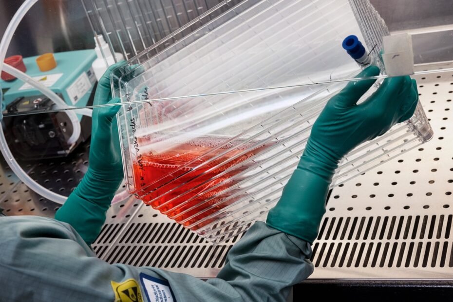 Foto Credits/ Courtesy of: DiaSorin